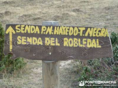 Gente senderista, Parque Natural del Hayedo de Tejera Negra; viajes naturaleza